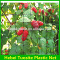 agricultural BOP Bird Trapping Net with UV Stabilizer